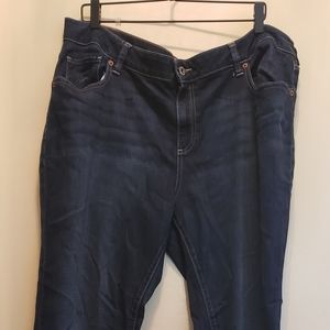 Lucky Brand Dark Blue Ginger Skinny Jeans